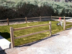 Dog Park